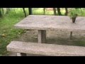 Casa de Campo en Galicia | Arboles frutales y Topos Vlog | DarkAngel y Michiru