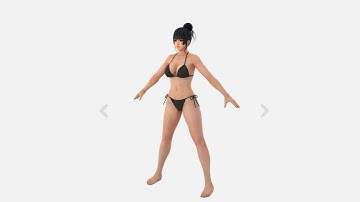 Bento Buddy - Mapping an arbitrary complex rigged and skinned character from the web