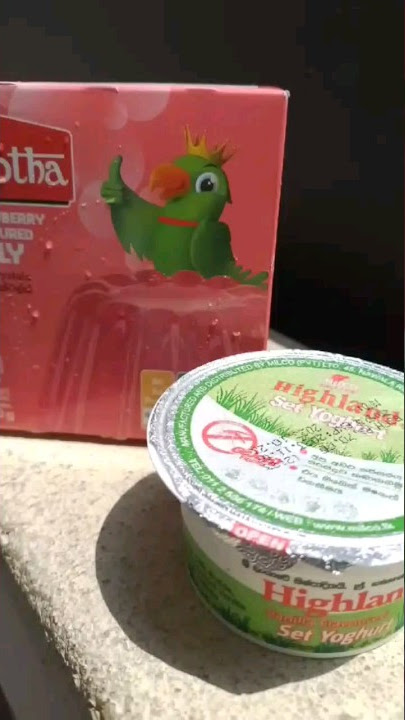 🍮 Yogurt Jelly Pudding  🍮