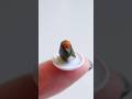 Clay Art | Miniature Pickled Plum Onigiri | 粘土でつくるミニチュアの梅干しおにぎり #miniaturefood #miniature #ミニチュア