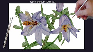 How to paint these Hoverflies on Campanula Bell flowers using  watercolours and pen.