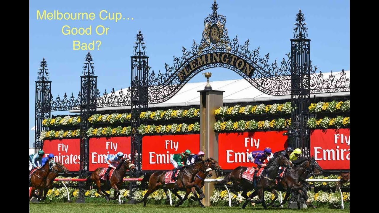 The 420 Project #6 (Melbourne Cup, Refugee Crisis+Naked Sauna Man??)