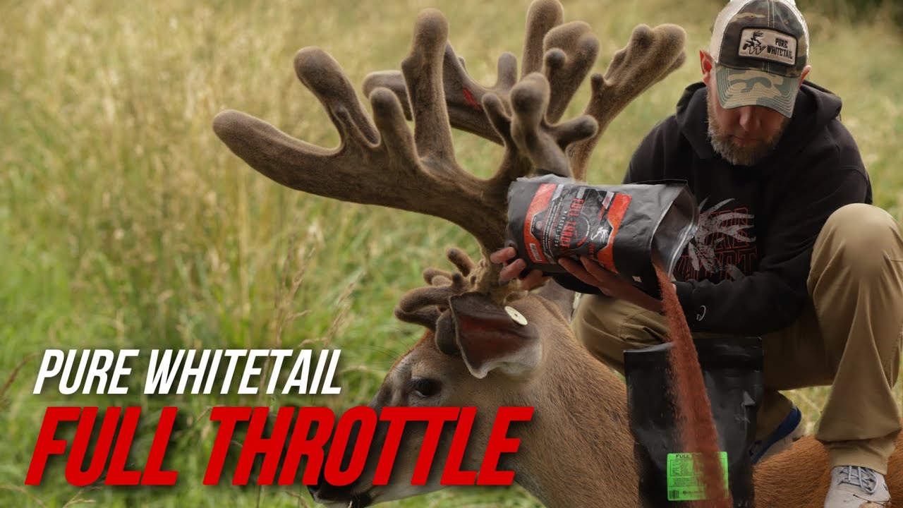 WHEN AND HOW WE USE PURE WHITETAIL FULL THROTTLE MINERAL Grow bigger bucks and healthier deer