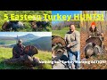 5 Eastern Turkey Hunts! We leave out the fluff and fills. Nothing but HUNTING ole&#39; Thunder Chicken!