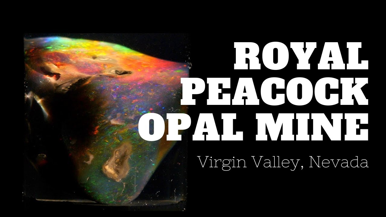 A Brief History of the Royal Peacock Opal Mine YouTube