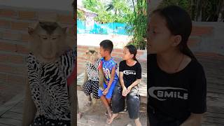 Great  Super Sokyaa Very Adorable U0026 Harmony Animals Around The World shorts