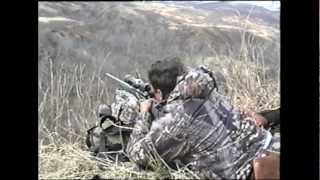 Brown Bear Hunting on Kodiak Island - MossBack