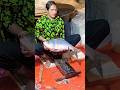 big katol fish cutting video #fish #fishing #shorts