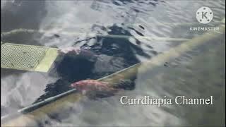 The Beauty of Hanghau Man Kuk Lane Park #hongkong #park 