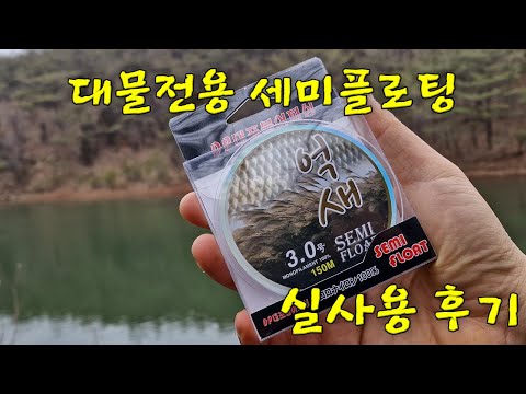 1년내내 사용해 본 억새 세미플로팅대포붕어 실사용 후기