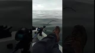 18846619 703716449811842 6401047454971592704 n