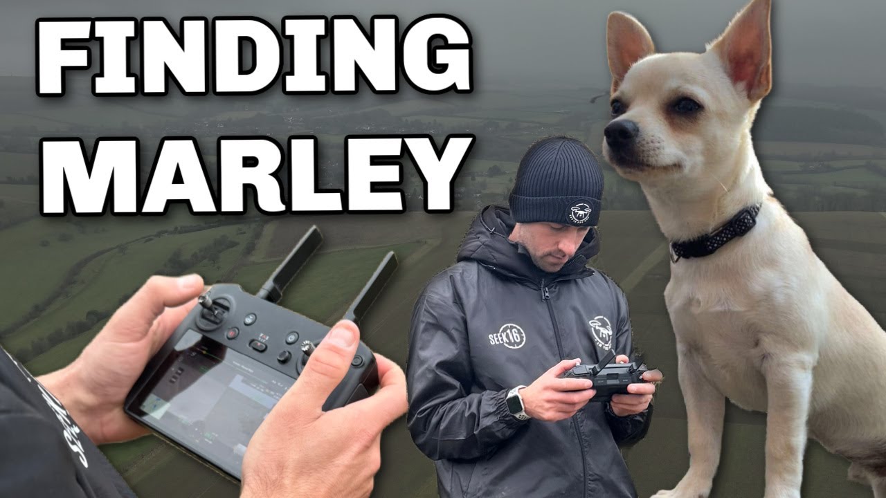 Dog Missing for 6 Days - Can We Find Him With Thermal Drone