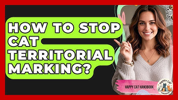 How To Stop Cat Territorial Marking? - Happy Cat Handbook