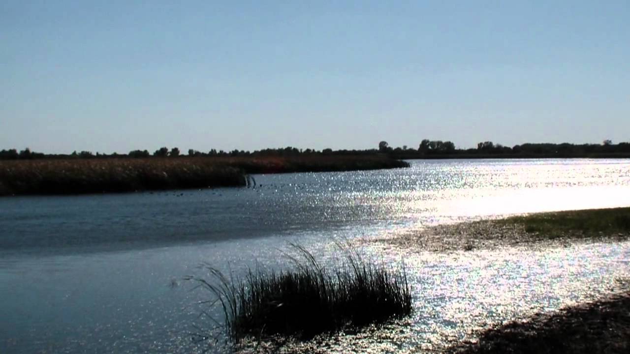 Волга лайн михайловка