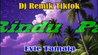 Dj Remik Aku Rindu Padamu Evie Tamala || JADUL CHANNEL FMC