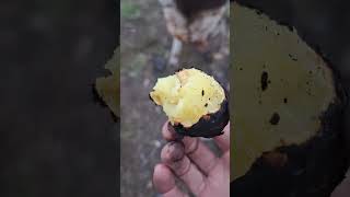 картинка: Ламбада отменяется,курицы и жарка  кортошки на живом огне !