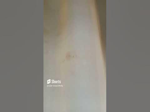 Отель Витязево Фэмэли Светлая,23.Отзыв.3 Грязные, рваные шторы. - YouTube