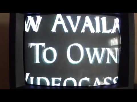 サンズ・オブ・1997 サンズ・オブ・1997