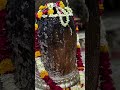 शिव