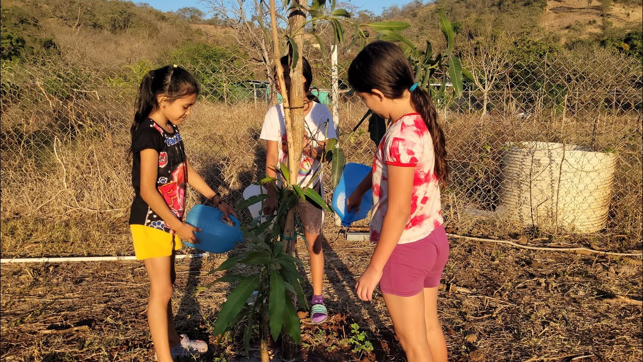 Regando los palos de mangos. Ruby muestra su fuerza💪💪💪