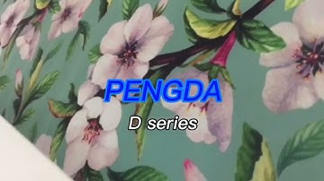 PENGDA D SERIES