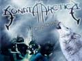 Sonata Arctica - Out In The Fields