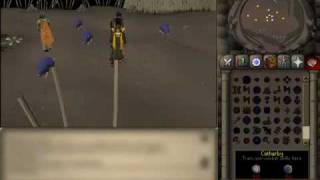 Runescape Private Server - Project Catastrophe