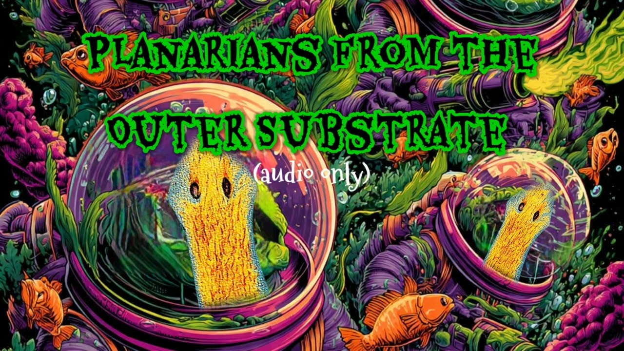 Planarians from the Outer Substrate