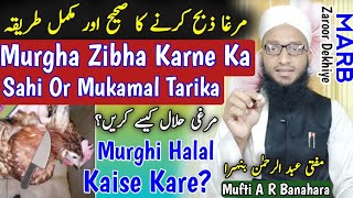 Murgha Zibha Karne Ka Tarika | Murghi Halal Kaise Kare | Janwar Katne Ki Dua Or Sahi Tareeqa | MARB