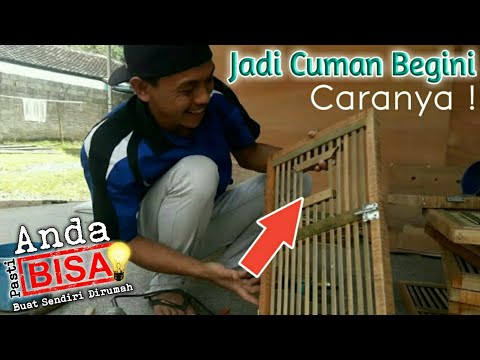 Video: Bagaimana anda tahu bila sugar glider anda terikat?