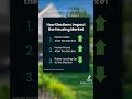 Do Elections Affect the Housing Market