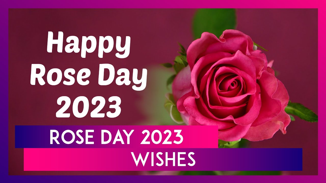 Rose Day 2023 Romantic Messages & GIF Images: WhatsApp Greetings ...