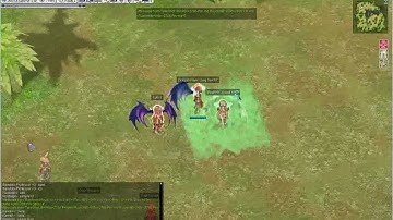 Dark RO Force - Reporting MaahHh as Bug Abuser