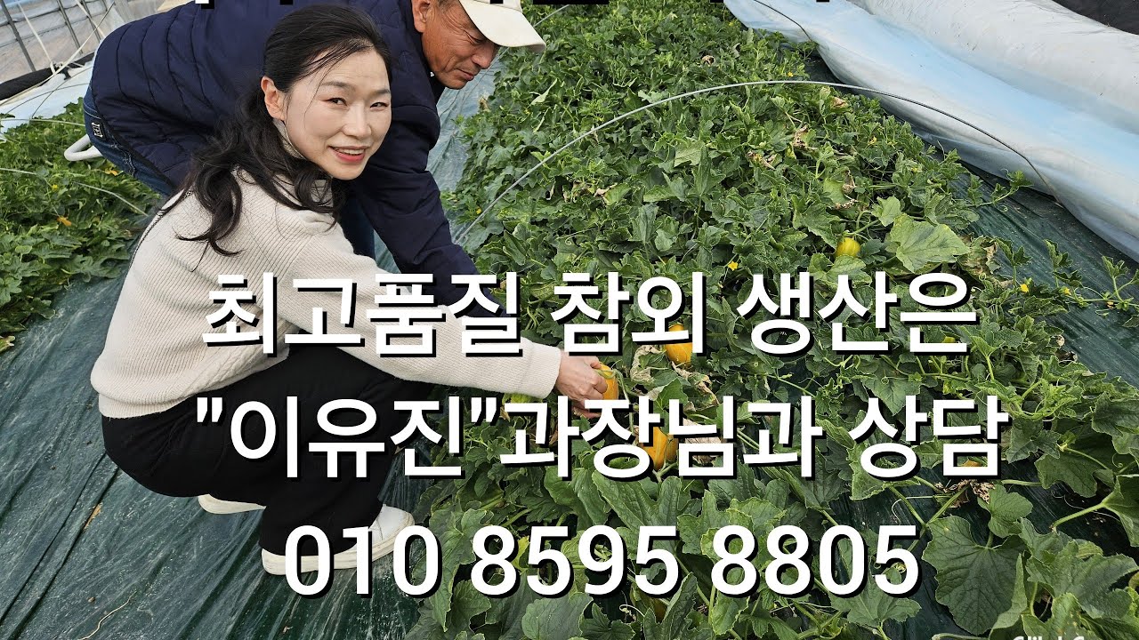 성주 벽진면 