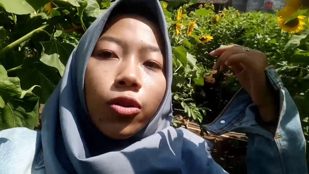 Vlog 1 Rivew Kebun Bunga Matahari Karanganyar Sunco Air Terjun Jumog Tawang Mangu Sarangan