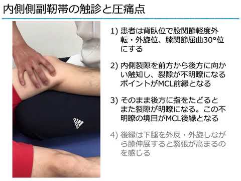 内側側副靭帯の触診と圧痛 Youtube 内側側副靭帯の触診と圧痛 Youtube