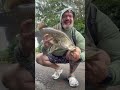 Roadside Barra Finally Paid Off #barra #fishing #gamechanger