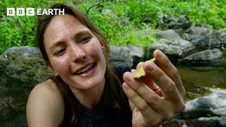 Gold’s Journey on Earth | BBC Earth Science