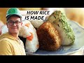 How Rice Is Farmed, Milled, and Packaged at Koda Farms