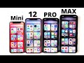 iPhone 12 Mini vs iPhone 12 vs iPhone 12 Pro vs iPhone 12 Pro Max