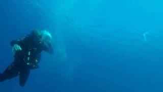 Scuba Horizontal Bubble Rings