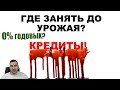 Как я брал кредиты на бизнес агро.