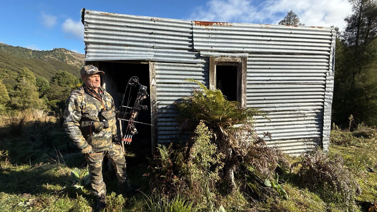 4 Days Bowhunting Fallow Deer on Wairangi Station, New Zealand