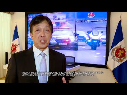 გიორგი მღებრიშვილი იაპონიის ელჩს შეხვდა