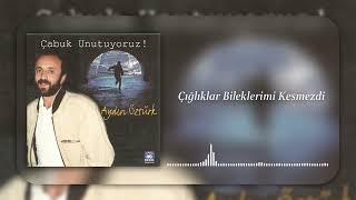 Aydın Öztürk - Çığlıklar Bileklerimi Kesmezdi Resimi