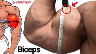 غير عضلة البايسبس بسرعة !! بهذه التمارين لتوسيع البايسبس - Biceps