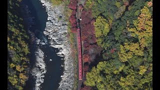 「美しきにっぽん」嵯峨野トロッコ