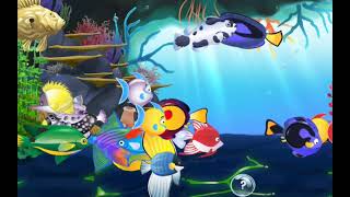 sea horse + queen triggerfish + john dory fish paradise by winston cbb 281 views 3 months ago 4 hours, 3 minutes