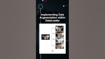 Implementing Data Augmentation within DataLoader #ai #artificialintelligence #machinelearning