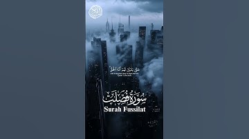 سورة فصلت | الآية-53-54 | القارئ  ياسر الدوسري